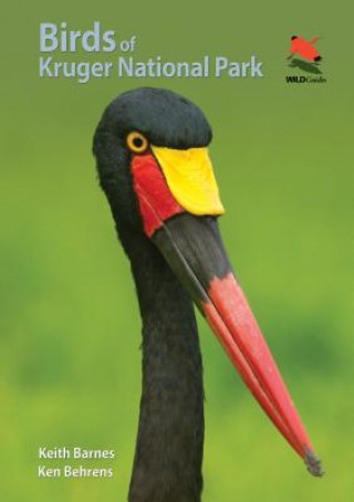 Kniha Birds of Kruger National Park Keith Barnes