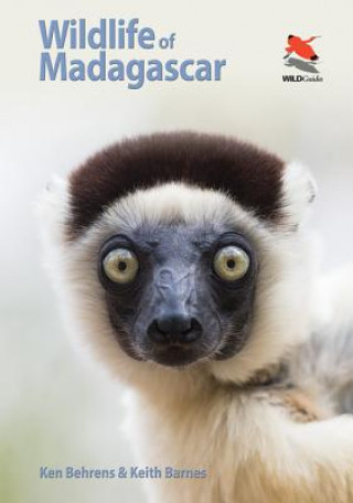Książka Wildlife of Madagascar Ken Behrens