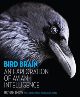 Book Bird Brain Nathan Emery