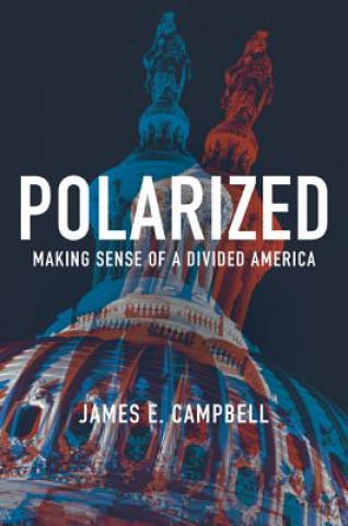 Książka Polarized James E. Campbell
