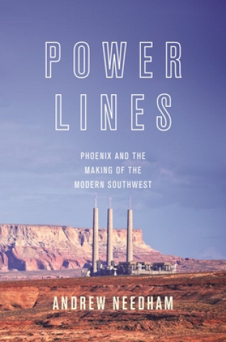 Kniha Power Lines Andrew Needham