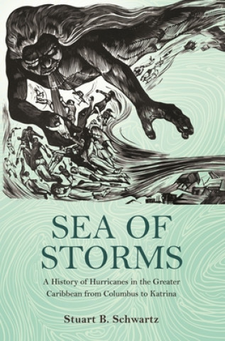 Kniha Sea of Storms Stuart B. Schwartz