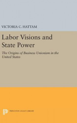 Buch Labor Visions and State Power Victoria C. Hattam