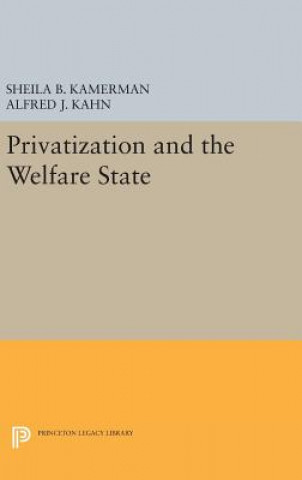 Książka Privatization and the Welfare State Alfred J. Kahn