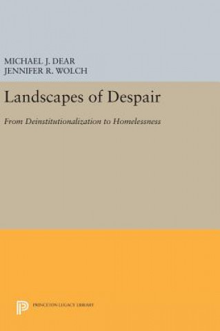 Kniha Landscapes of Despair Michael J. Dear