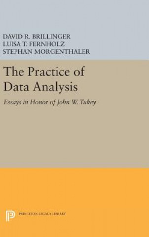 Kniha Practice of Data Analysis David R. Brillinger