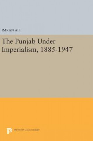 Könyv Punjab Under Imperialism, 1885-1947 Imran Ali