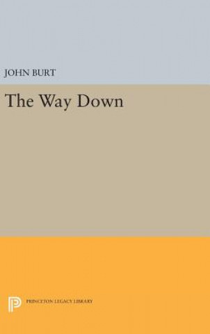 Kniha Way Down Professor of English John (Brandeis University) Burt