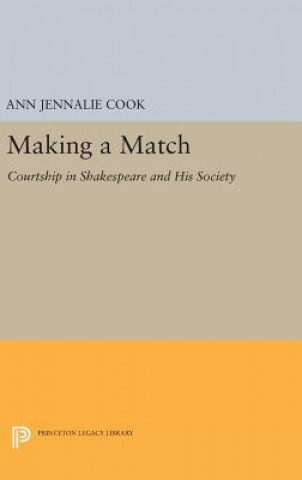 Kniha Making a Match Ann Jennalie Cook
