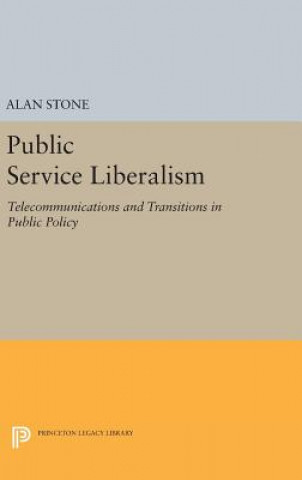 Kniha Public Service Liberalism Alan Stone