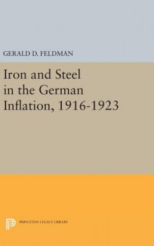 Könyv Iron and Steel in the German Inflation, 1916-1923 Gerald D. Feldman