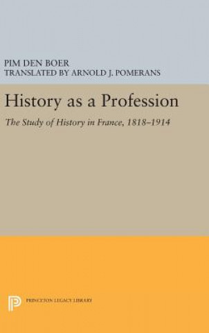 Buch History as a Profession Pim den Boer