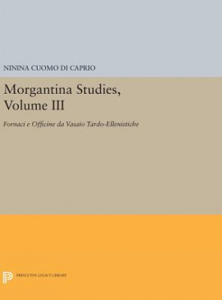 Carte Morgantina Studies, Volume III Ninina Cuomo Di Caprio