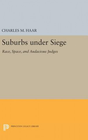 Kniha Suburbs under Siege Charles M. Haar