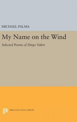 Könyv My Name on the Wind 