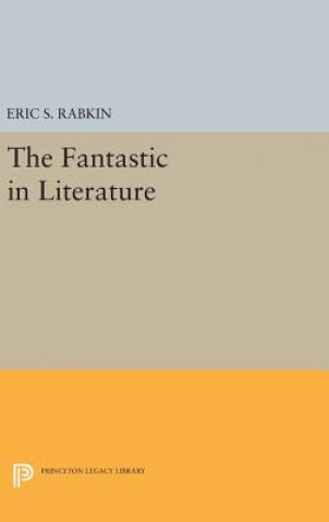 Könyv Fantastic in Literature Eric S. Rabkin