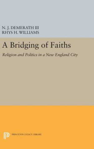 Buch Bridging of Faiths Demerath