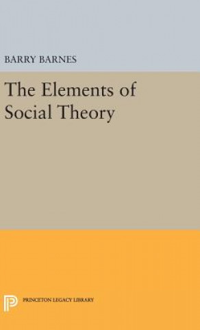 Kniha Elements of Social Theory Barry Barnes