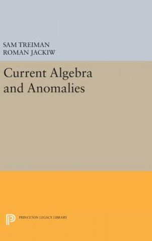 Книга Current Algebra and Anomalies Sam Treiman