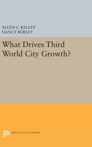Kniha What Drives Third World City Growth? Allen C. Kelley