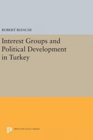 Könyv Interest Groups and Political Development in Turkey Robert Bianchi