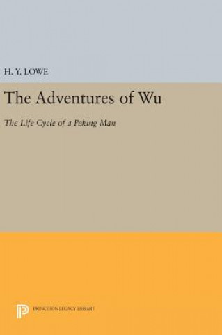 Kniha Adventures of Wu H. Y. Lowe