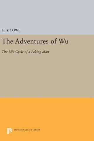 Buch Adventures of Wu H. Y. Lowe