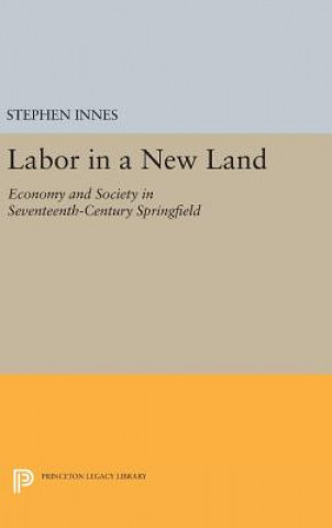Könyv Labor in a New Land Stephen Innes