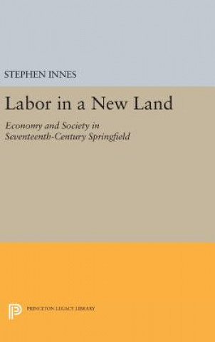 Book Labor in a New Land Stephen Innes