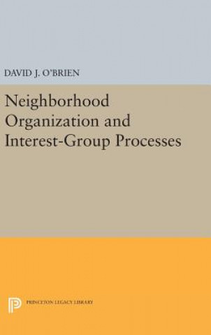 Livre Neighborhood Organization and Interest-Group Processes David J. O'Brien