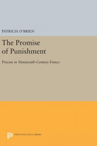 Książka Promise of Punishment Patricia O'Brien