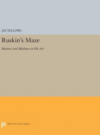 Book Ruskin's Maze Jay Fellows