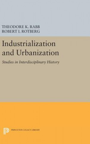 Kniha Industrialization and Urbanization Theodore K. Rabb