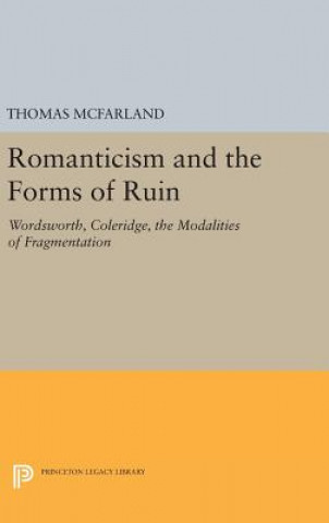 Kniha Romanticism and the Forms of Ruin Thomas McFarland