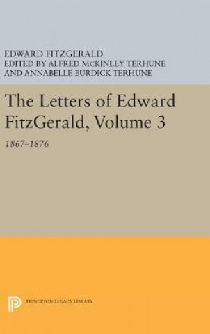 Książka Letters of Edward Fitzgerald, Volume 3 Edward FitzGerald