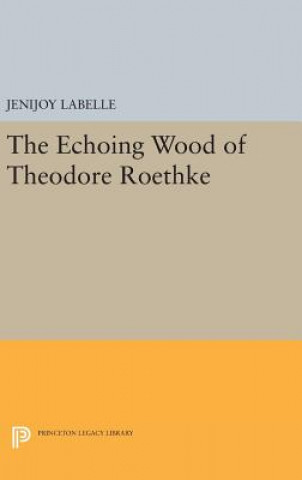 Kniha Echoing Wood of Theodore Roethke Jenijoy Labelle