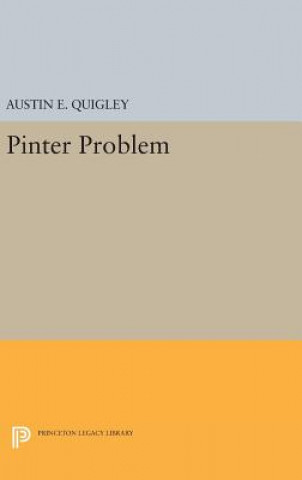 Książka Pinter Problem Austin E. Quigley