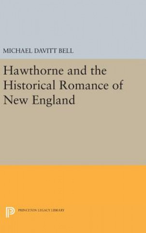 Kniha Hawthorne and the Historical Romance of New England Michael Davitt Bell