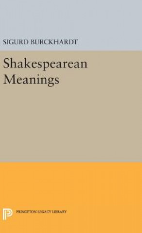 Kniha Shakespearean Meanings Sigurd Burckhardt