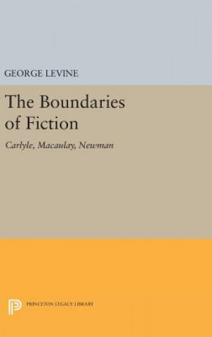 Kniha Boundaries of Fiction Levine
