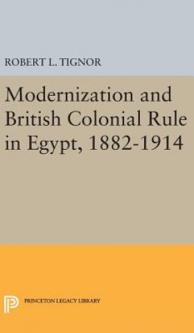 Könyv Modernization and British Colonial Rule in Egypt, 1882-1914 Robert L. Tignor
