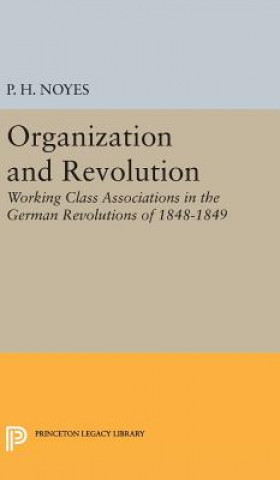 Könyv Organization and Revolution P. H. Noyes
