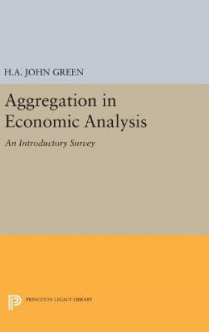 Kniha Aggregation in Economic Analysis H. A. John Green