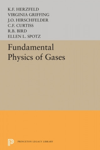 Kniha Fundamental Physics of Gases V. Griffing