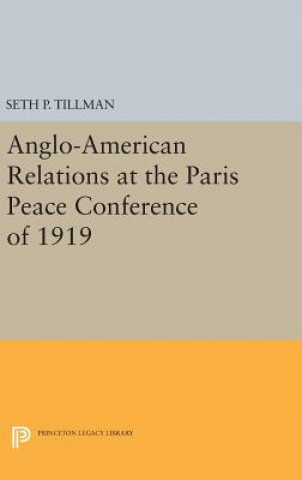 Book Anglo-American Relations at the Paris Peace Conference of 1919 Seth P. Tillman