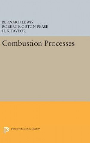 Könyv Combustion Processes Robert Norton Pease