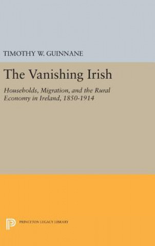 Book Vanishing Irish Timothy W. Guinnane