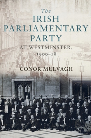 Книга Irish Parliamentary Party at Westminster, 1900-18 Conor Mulvagh
