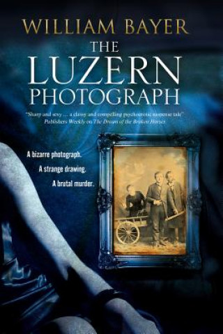 Könyv Luzern Photograph William Bayer