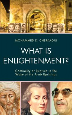 Knjiga What Is Enlightenment? Mohammed D. Cherkaoui